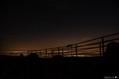 DSC_5024-1