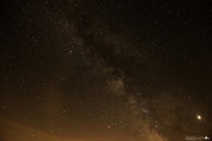 DSC_5025-1