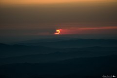 DSC_5046-1
