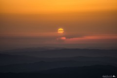 DSC_5050-1