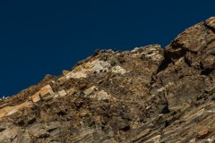 DSC_5097-1