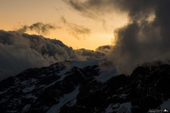 DSC_5238-1