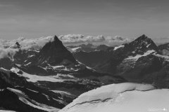 DSC_5394-1