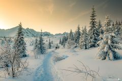 Świnicka Przełęcz 08-02-2020