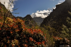 Dolina Khumbu