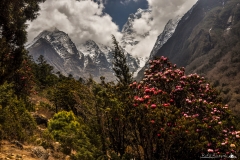 Dolina Khumbu