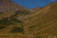 Kazbek
