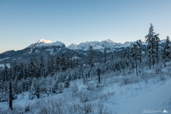 Tatry Wysokie z Wierchu Poroniec
