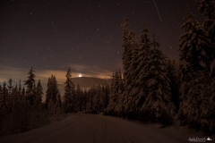 Zimowy dzień 16-12-2018 